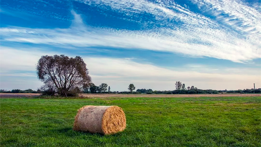 lending to farmers
